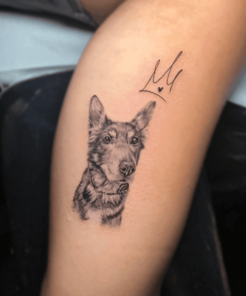 Shinka Tattoo​ 5